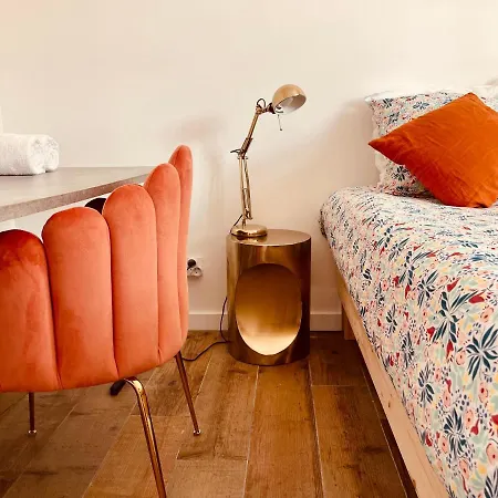 De Charme Très Proche Lyon Bed & Breakfast 2*